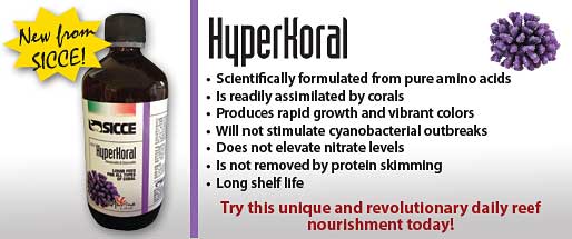 hyperkoral coral food