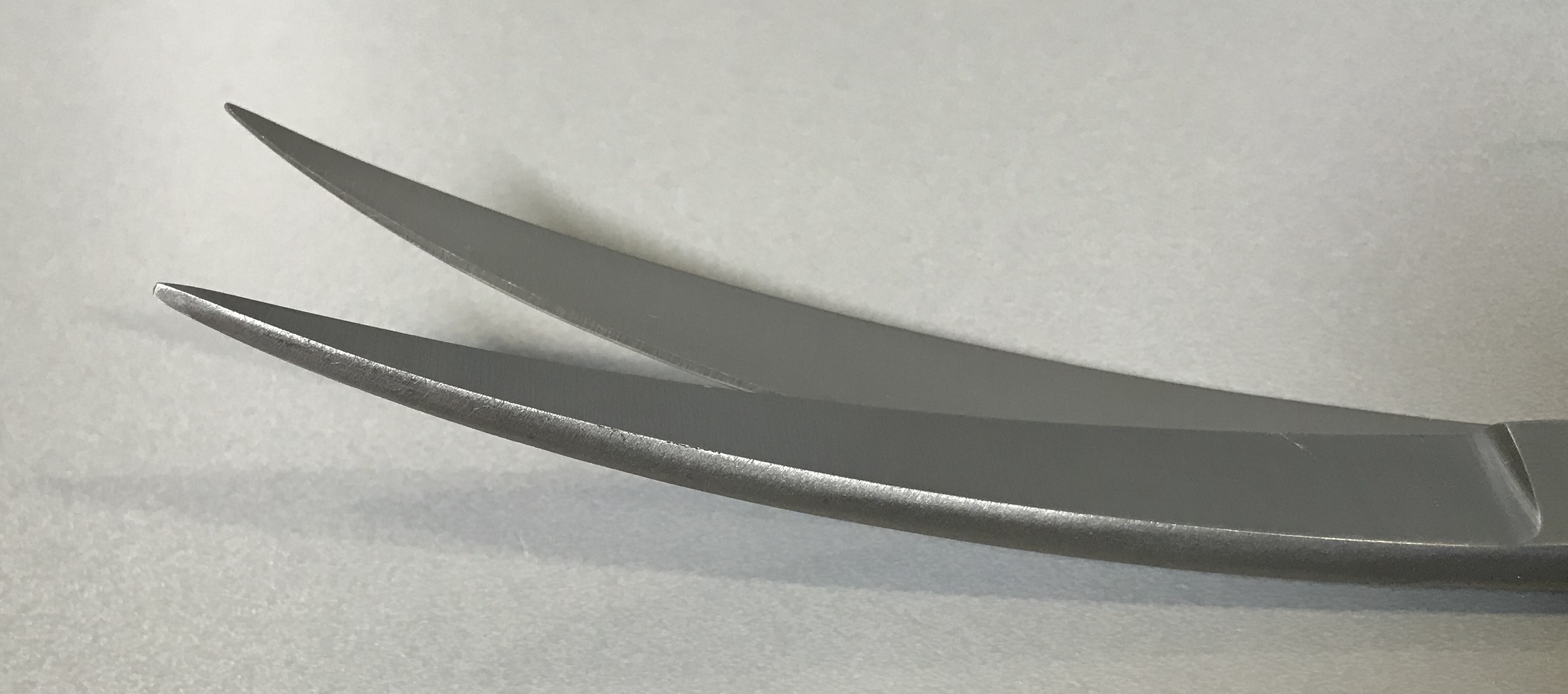 Curved Trimming Scissors - 10