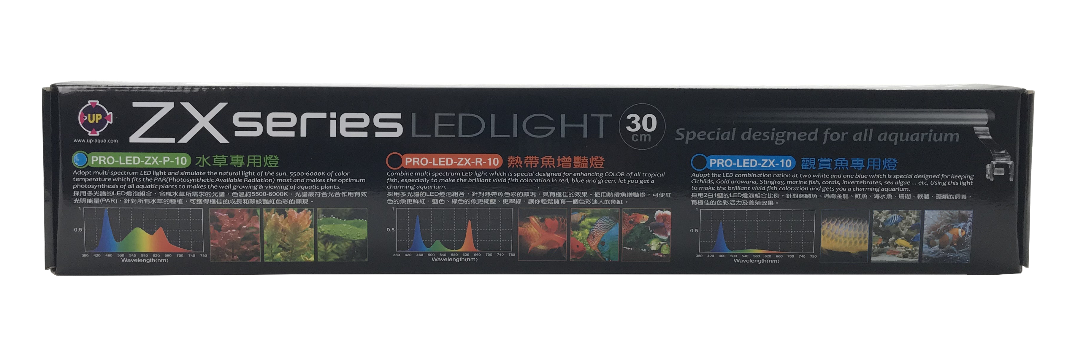 ZX-Series LED 12